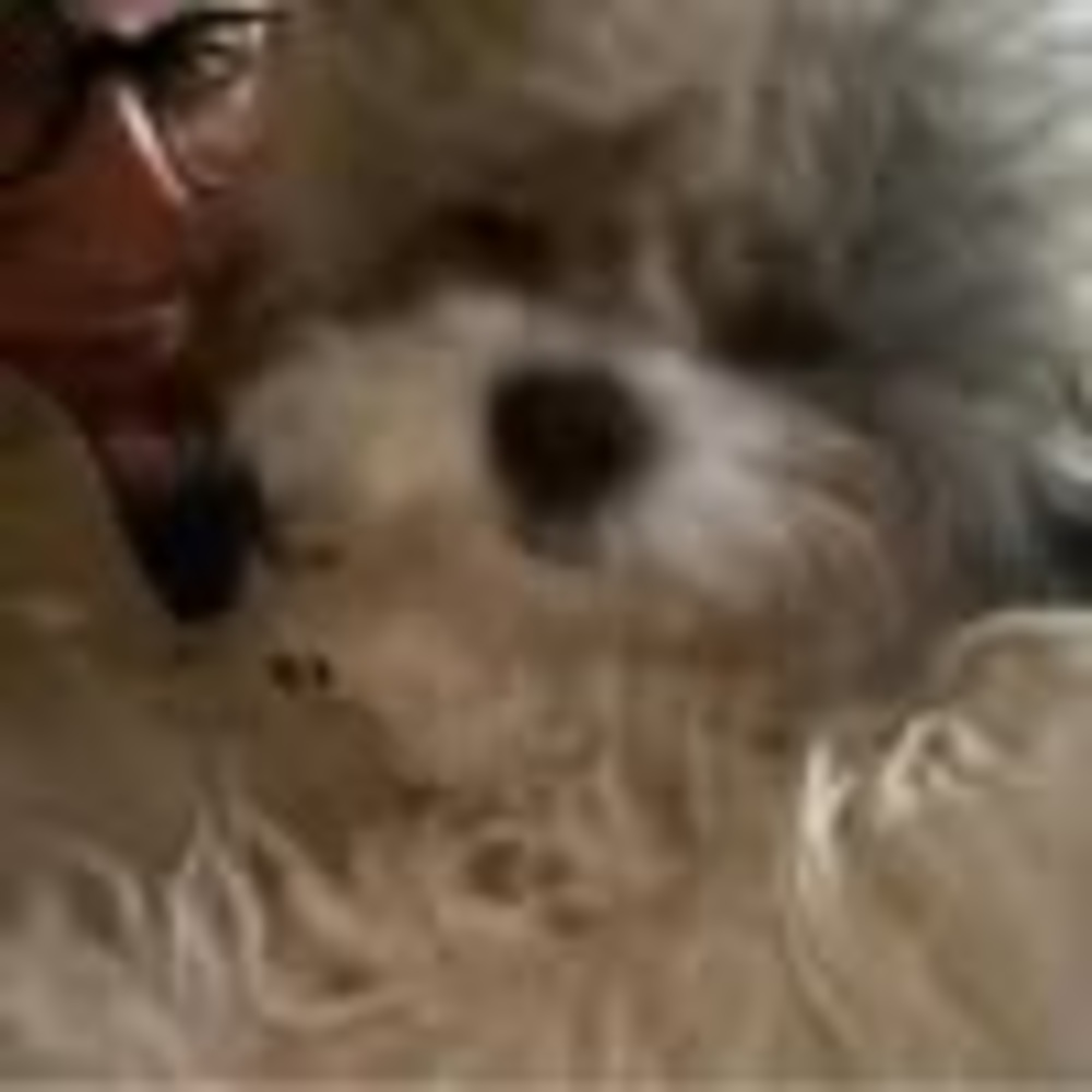 Meet your Posher, Kari